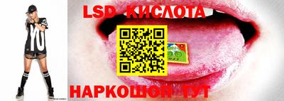 apvp Заволжье