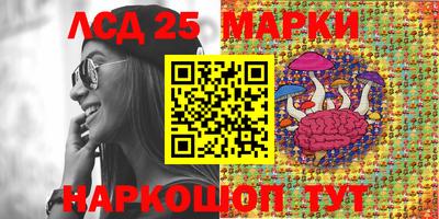 индика Заводоуковск