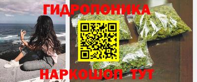 apvp Заволжье