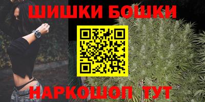 индика Заводоуковск