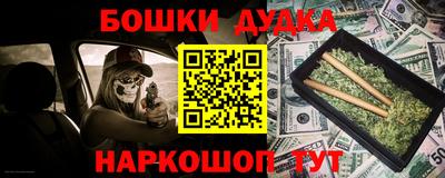 индика Заводоуковск